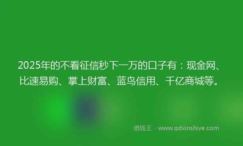 2025年的不看征信秒下一万的口子有：现金网、比速易购、掌上财富、蓝鸟信用、千亿商城等。