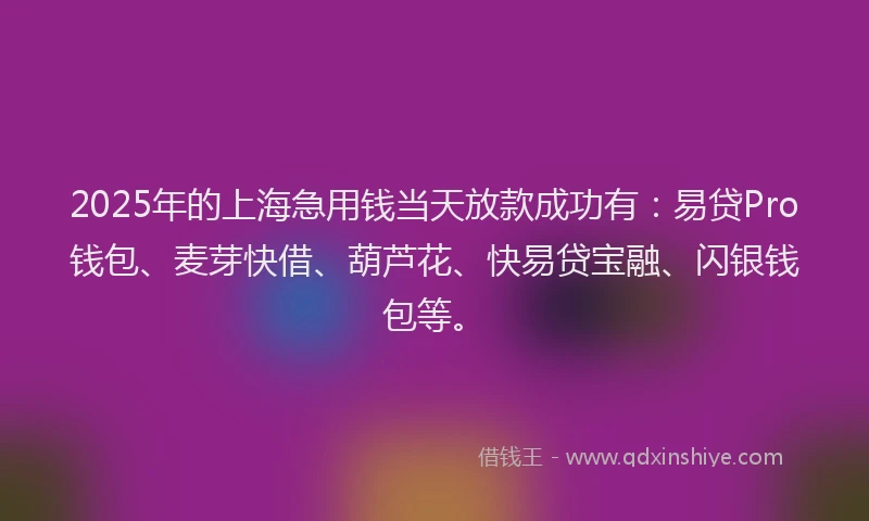 2025年的上海急用钱当天放款成功有：易贷Pro钱包、麦芽快借、葫芦花、快易贷宝融、闪银钱包等。