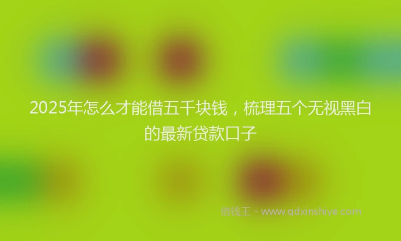 2025年怎么才能借五千块钱，梳理五个无视黑白的最新贷款口子