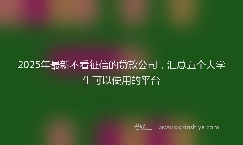 2025年最新不看征信的贷款公司，汇总五个大学生可以使用的平台