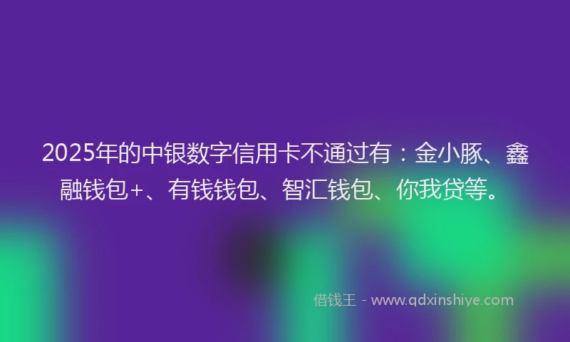 2025年的中银数字信用卡不通过有：金小豚、鑫融钱包+、有钱钱包、智汇钱包、你我贷等。