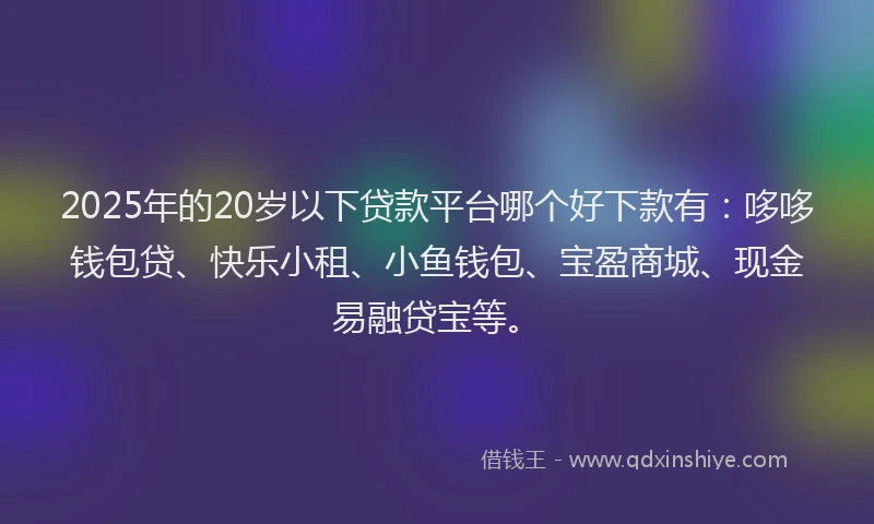 2025年的20岁以下贷款平台哪个好下款有：哆哆钱包贷、快乐小租、小鱼钱包、宝盈商城、现金易融贷宝等。