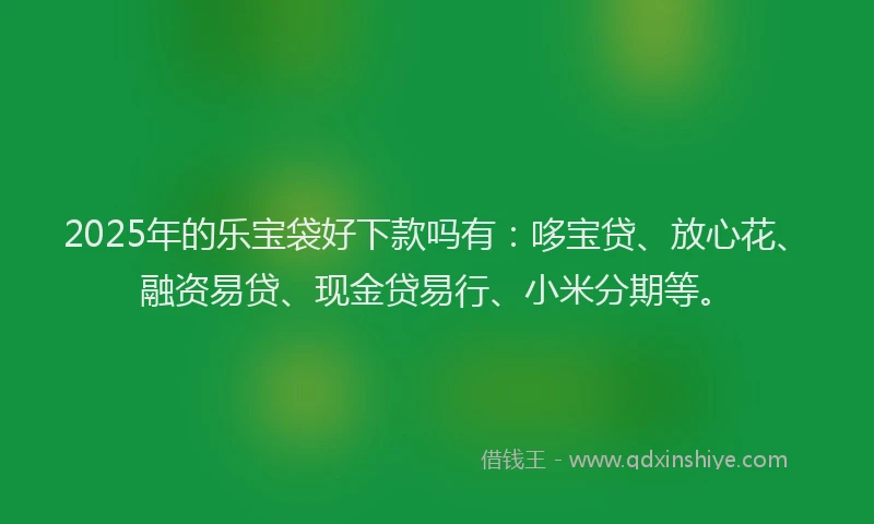 2025年的乐宝袋好下款吗有：哆宝贷、放心花、融资易贷、现金贷易行、小米分期等。
