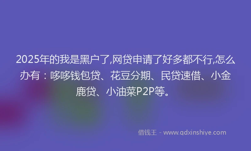 2025年的我是黑户了,网贷申请了好多都不行,怎么办有：哆哆钱包贷、花豆分期、民贷速借、小金鹿贷、小油菜P2P等。