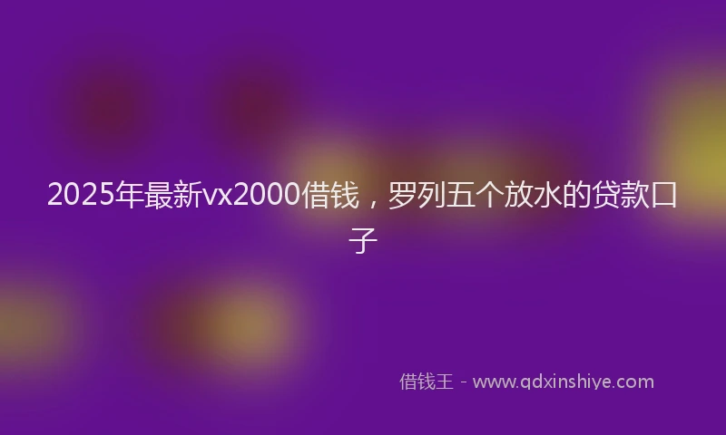 2025年最新vx2000借钱，罗列五个放水的贷款口子