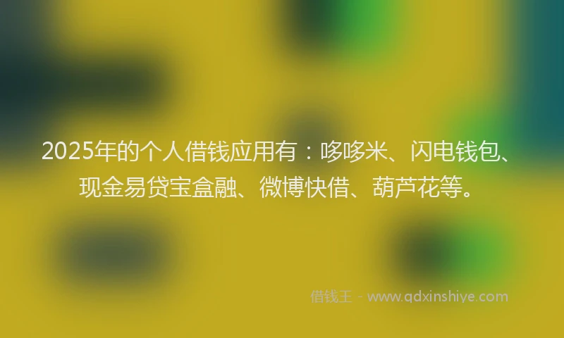 2025年的个人借钱应用有：哆哆米、闪电钱包、现金易贷宝盒融、微博快借、葫芦花等。