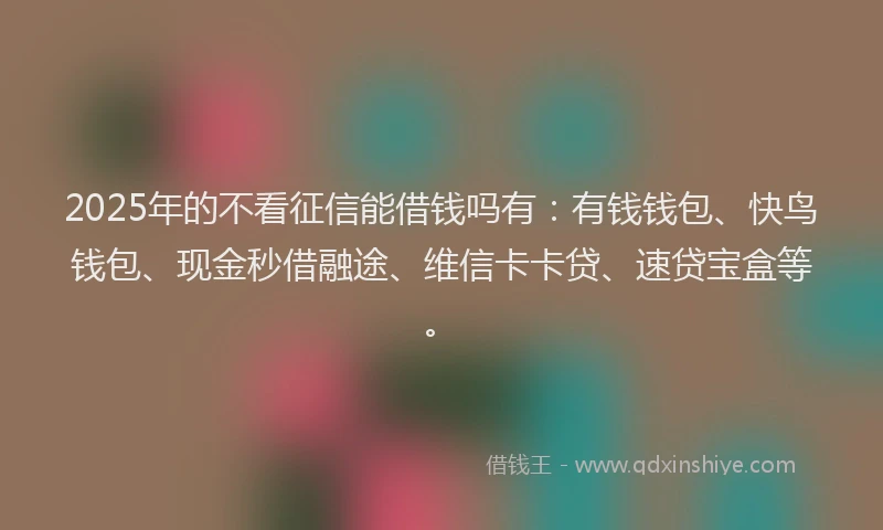 2025年的不看征信能借钱吗有：有钱钱包、快鸟钱包、现金秒借融途、维信卡卡贷、速贷宝盒等。