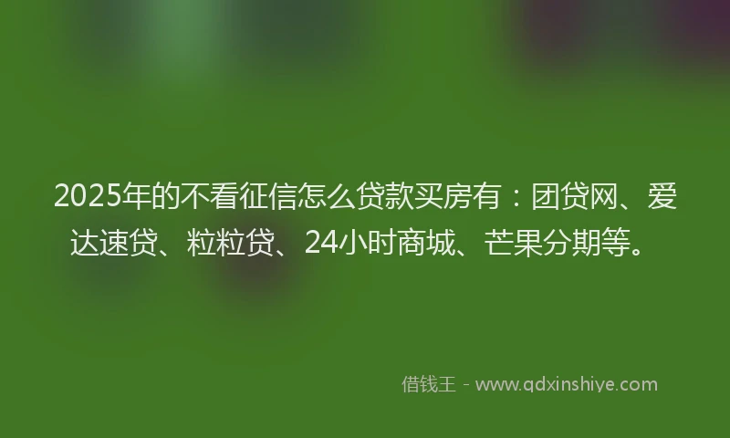 2025年的不看征信怎么贷款买房有：团贷网、爱达速贷、粒粒贷、24小时商城、芒果分期等。