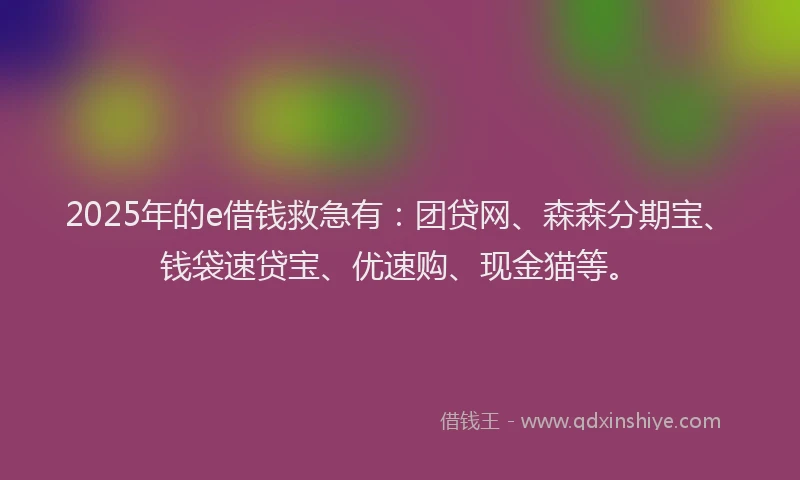 2025年的e借钱救急有：团贷网、森森分期宝、钱袋速贷宝、优速购、现金猫等。