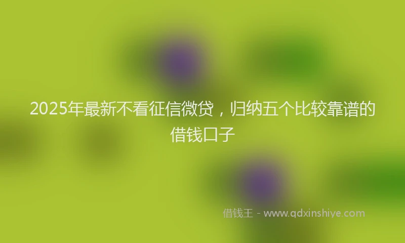 2025年最新不看征信微贷，归纳五个比较靠谱的借钱口子