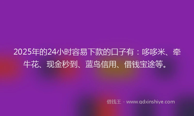2025年的24小时容易下款的口子有：哆哆米、牵牛花、现金秒到、蓝鸟信用、借钱宝途等。