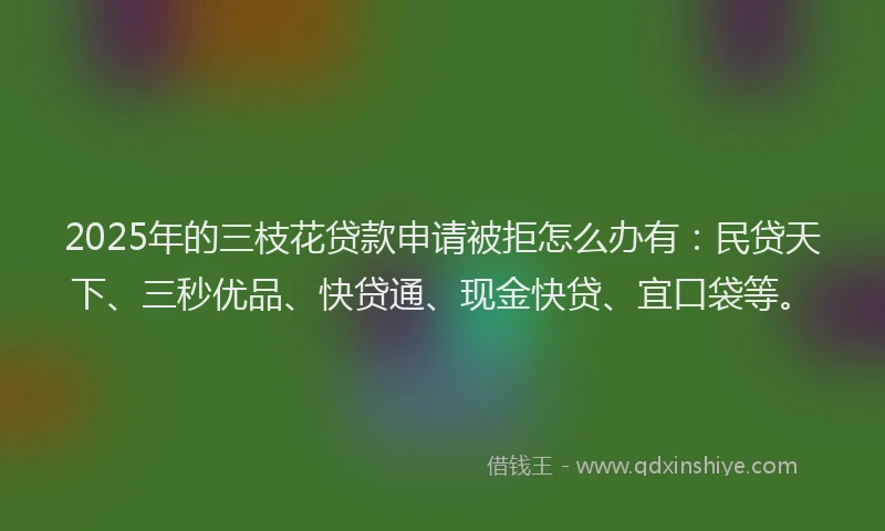2025年的三枝花贷款申请被拒怎么办有：民贷天下、三秒优品、快贷通、现金快贷、宜口袋等。