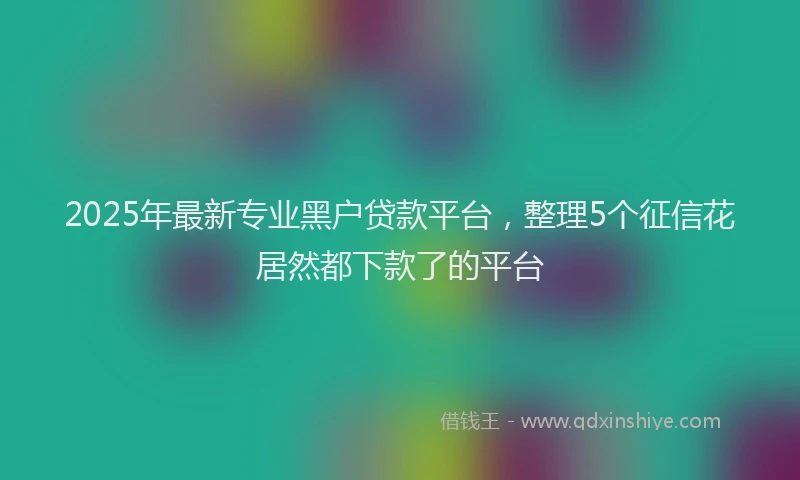 2025年最新专业黑户贷款平台，整理5个征信花居然都下款了的平台