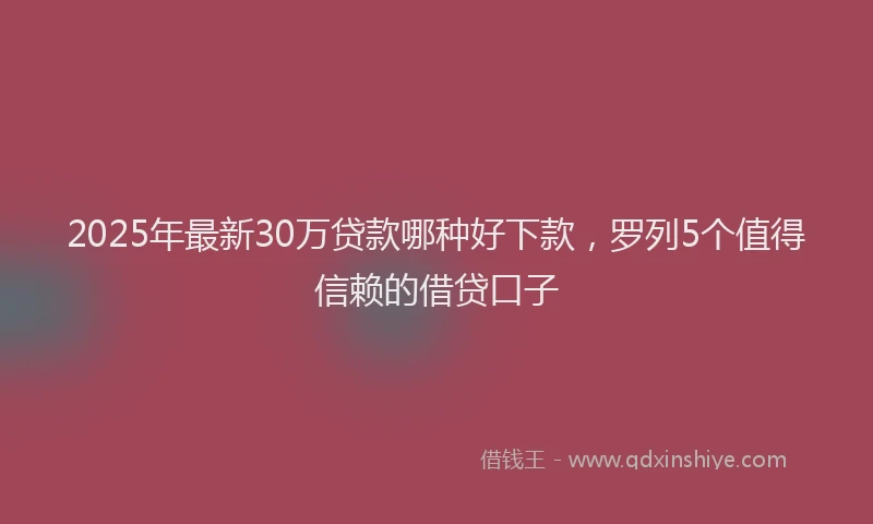 2025年最新30万贷款哪种好下款，罗列5个值得信赖的借贷口子
