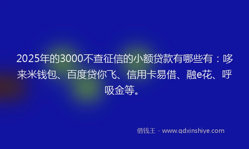 2025年的3000不查征信的小额贷款有哪些有：哆来米钱包、百度贷你飞、信用卡易借、融e花、呼吸金等。