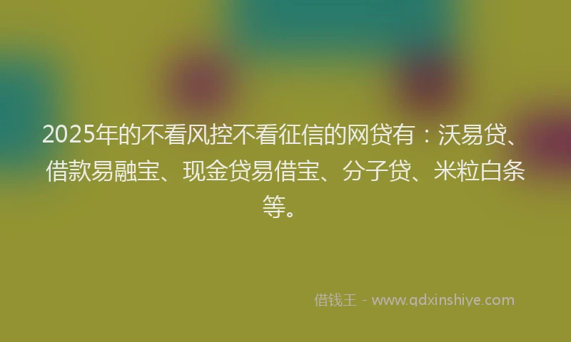 2025年的不看风控不看征信的网贷有：沃易贷、借款易融宝、现金贷易借宝、分子贷、米粒白条等。