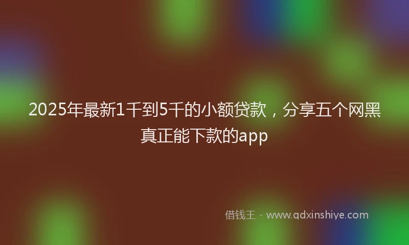 2025年最新1千到5千的小额贷款，分享五个网黑真正能下款的app