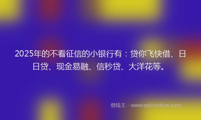 2025年的不看征信的小银行有：贷你飞快借、日日贷、现金易融、信秒贷、大洋花等。