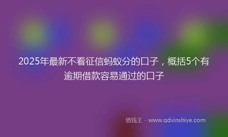 2025年最新不看征信蚂蚁分的口子，概括5个有逾期借款容易通过的口子