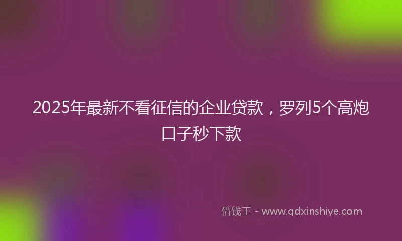 2025年最新不看征信的企业贷款，罗列5个高炮口子秒下款