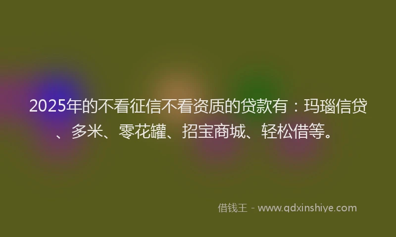 2025年的不看征信不看资质的贷款有：玛瑙信贷、多米、零花罐、招宝商城、轻松借等。