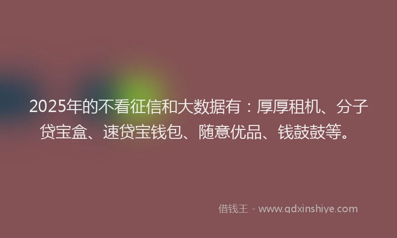 2025年的不看征信和大数据有：厚厚租机、分子贷宝盒、速贷宝钱包、随意优品、钱鼓鼓等。