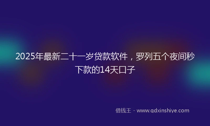2025年最新二十一岁贷款软件，罗列五个夜间秒下款的14天口子