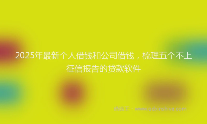 2025年最新个人借钱和公司借钱，梳理五个不上征信报告的贷款软件