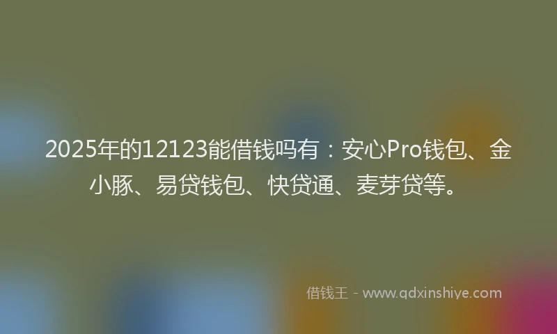 2025年的12123能借钱吗有：安心Pro钱包、金小豚、易贷钱包、快贷通、麦芽贷等。