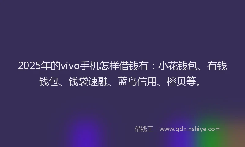 2025年的vivo手机怎样借钱有：小花钱包、有钱钱包、钱袋速融、蓝鸟信用、榕贝等。