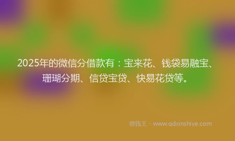 2025年的微信分借款有：宝来花、钱袋易融宝、珊瑚分期、信贷宝贷、快易花贷等。