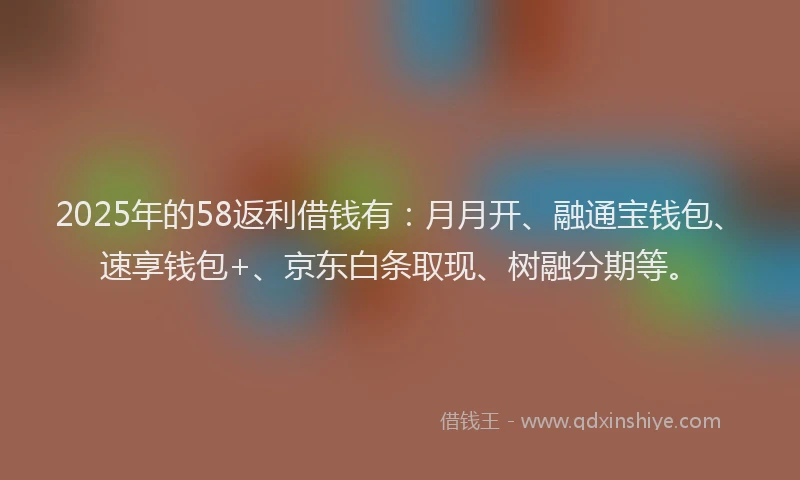 2025年的58返利借钱有：月月开、融通宝钱包、速享钱包+、京东白条取现、树融分期等。