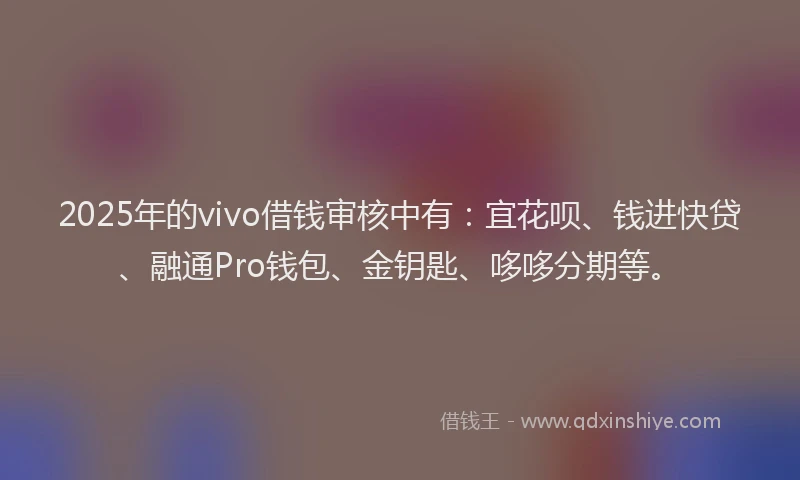 2025年的vivo借钱审核中有：宜花呗、钱进快贷、融通Pro钱包、金钥匙、哆哆分期等。