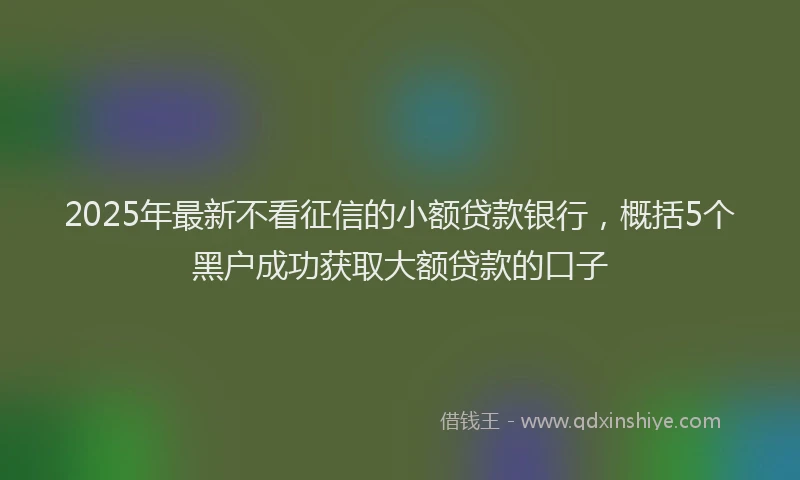 2025年最新不看征信的小额贷款银行，概括5个黑户成功获取大额贷款的口子