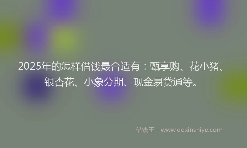 2025年的怎样借钱最合适有：甄享购、花小猪、银杏花、小象分期、现金易贷通等。