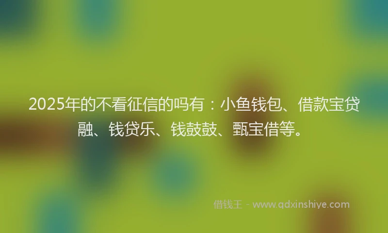 2025年的不看征信的吗有：小鱼钱包、借款宝贷融、钱贷乐、钱鼓鼓、甄宝借等。
