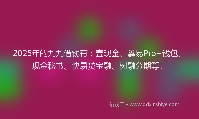 2025年的九九借钱有：壹现金、鑫易Pro+钱包、现金秘书、快易贷宝融、树融分期等。