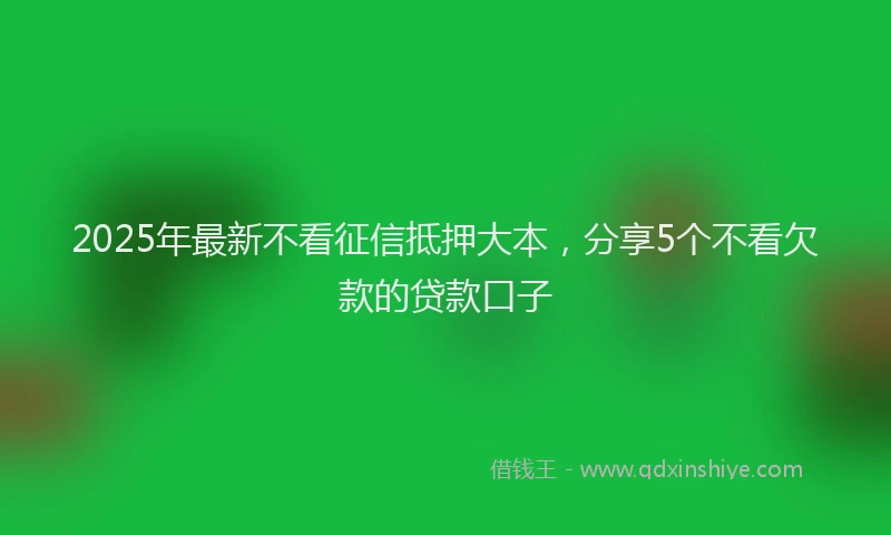 2025年最新不看征信抵押大本，分享5个不看欠款的贷款口子