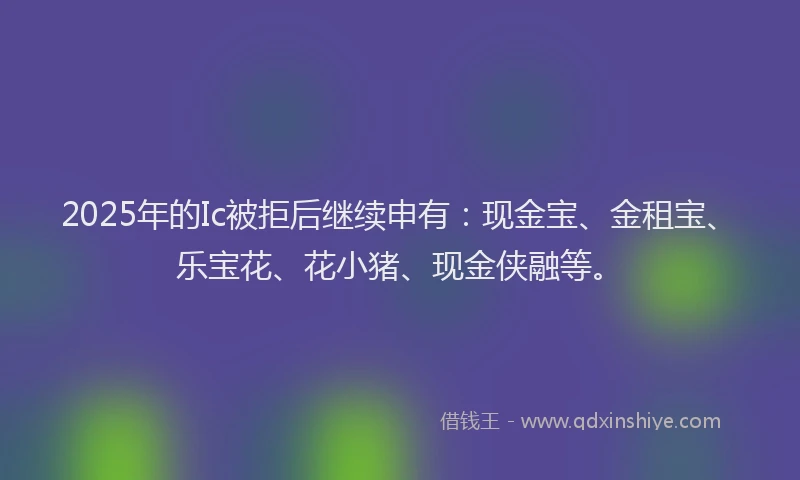 2025年的Ic被拒后继续申有：现金宝、金租宝、乐宝花、花小猪、现金侠融等。