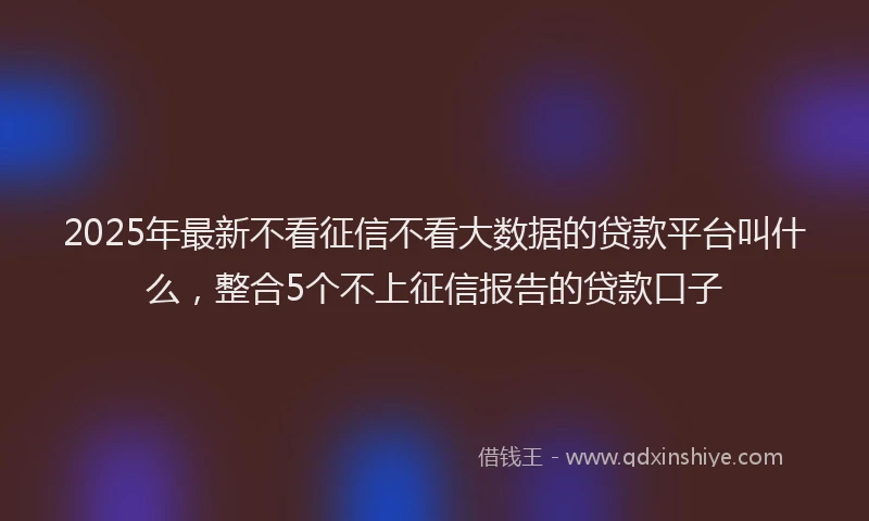 2025年最新不看征信不看大数据的贷款平台叫什么，整合5个不上征信报告的贷款口子