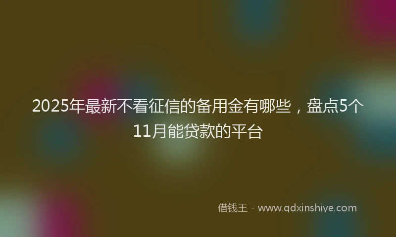 2025年最新不看征信的备用金有哪些，盘点5个11月能贷款的平台