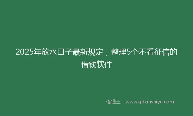 2025年放水口子最新规定，整理5个不看征信的借钱软件