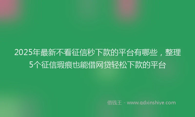 2025年最新不看征信秒下款的平台有哪些，整理5个征信瑕疵也能借网贷轻松下款的平台