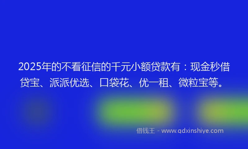 2025年的不看征信的千元小额贷款有：现金秒借贷宝、派派优选、口袋花、优一租、微粒宝等。