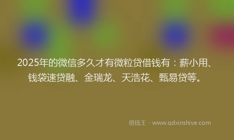 2025年的微信多久才有微粒贷借钱有：薪小用、钱袋速贷融、金瑞龙、天浩花、甄易贷等。