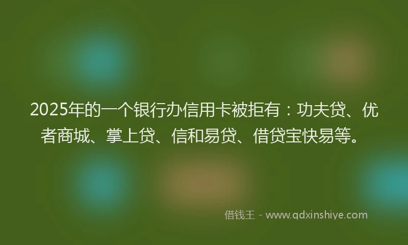 2025年的一个银行办信用卡被拒有：功夫贷、优者商城、掌上贷、信和易贷、借贷宝快易等。