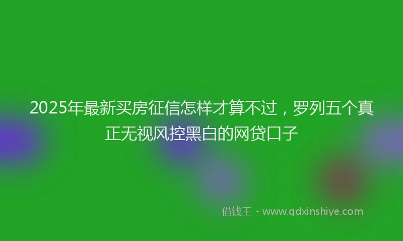 2025年最新买房征信怎样才算不过，罗列五个真正无视风控黑白的网贷口子