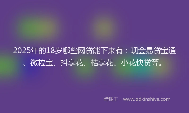 2025年的18岁哪些网贷能下来有：现金易贷宝通、微粒宝、抖享花、桔享花、小花快贷等。