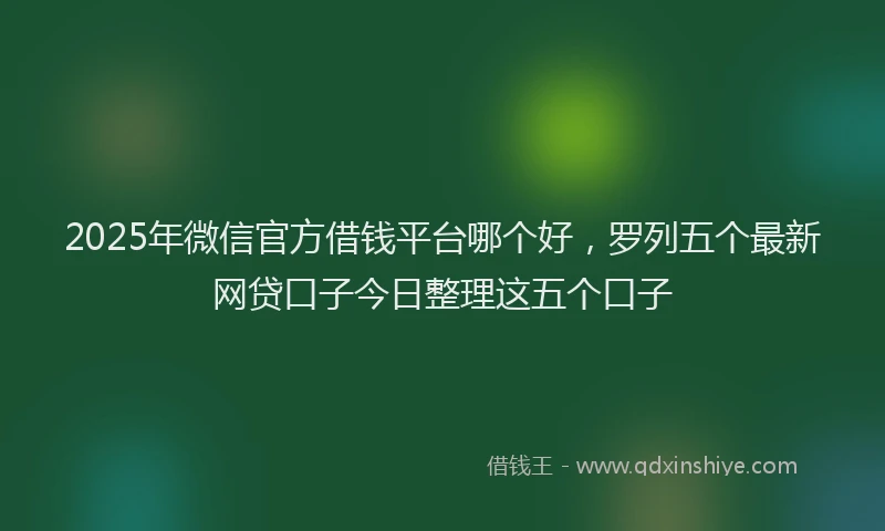 2025年微信官方借钱平台哪个好，罗列五个最新网贷口子今日整理这五个口子
