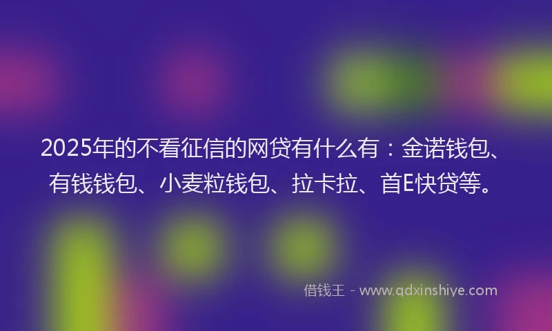 2025年的不看征信的网贷有什么有：金诺钱包、有钱钱包、小麦粒钱包、拉卡拉、首E快贷等。